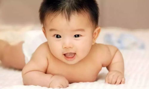 �Թ�Ӥ��ͼƬ4